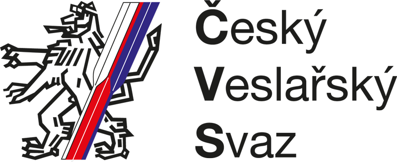 logo new vetsi